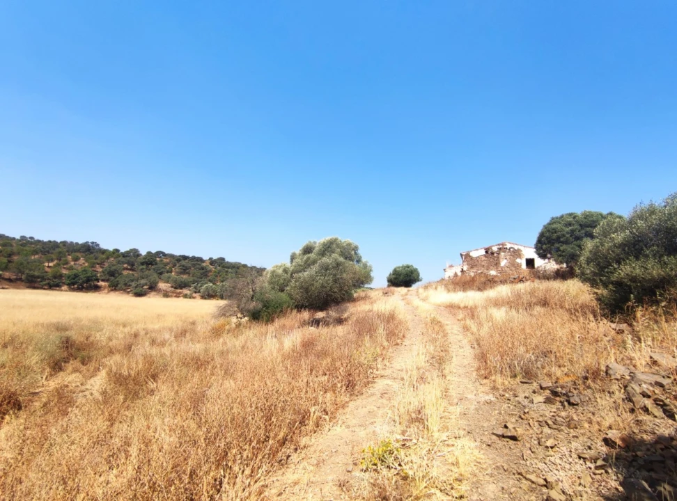 Terreno Misto para Venda em Azinhal Foto 29