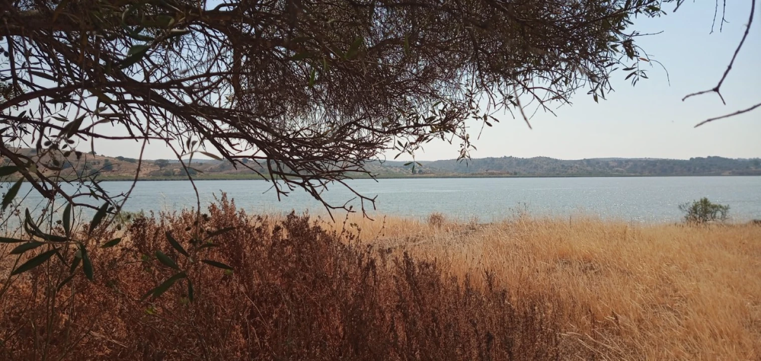 Terreno Misto para Venda em Azinhal Foto 9