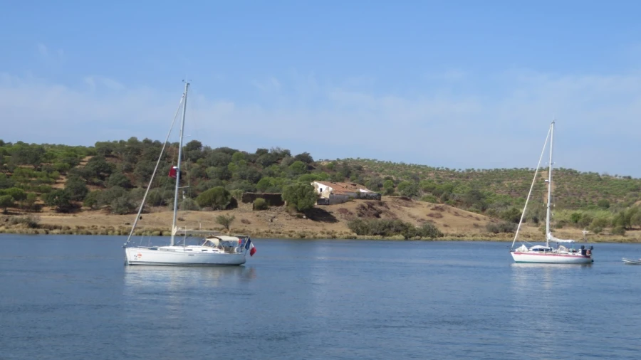Terreno Misto para Venda em Azinhal Foto 3