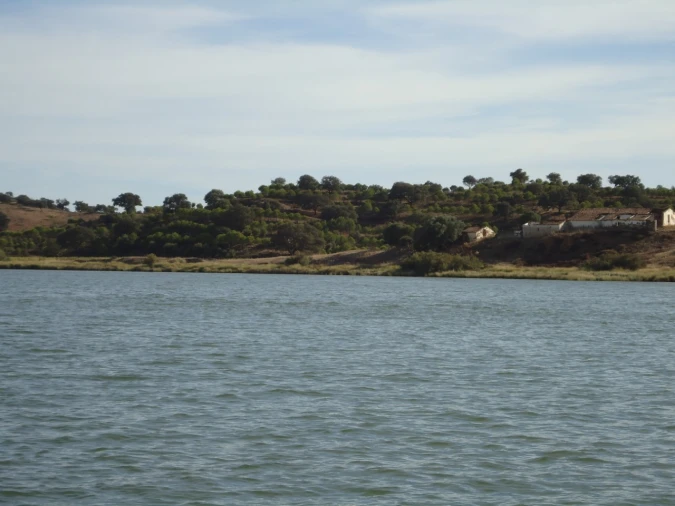 Terreno Misto para Venda em Azinhal Foto 10