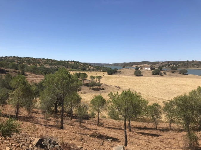 Terreno Misto para Venda em Azinhal Foto 11