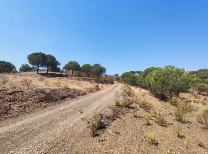Terreno Misto para Venda em Azinhal Foto 14