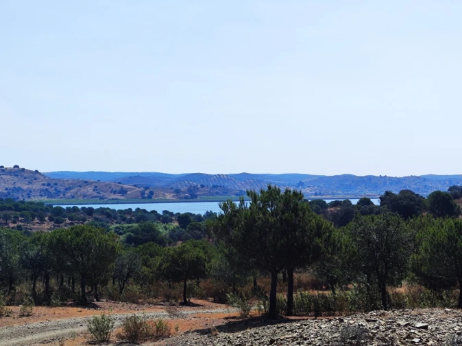 Terreno Misto para Venda em Azinhal Foto 15