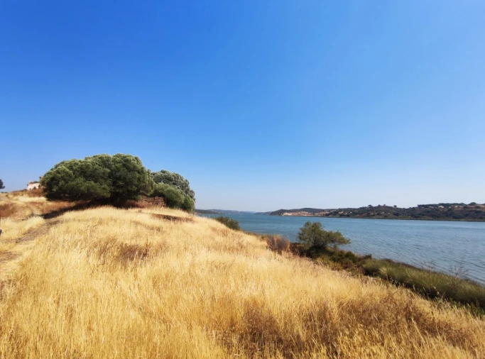 Terreno Misto para Venda em Azinhal Foto 16