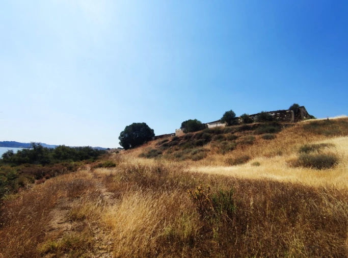 Terreno Misto para Venda em Azinhal Foto 17