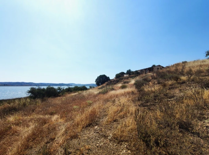 Terreno Misto para Venda em Azinhal Foto 19
