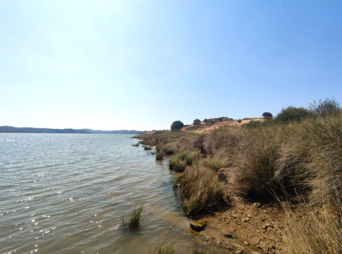 Terreno Misto para Venda em Azinhal Foto 25