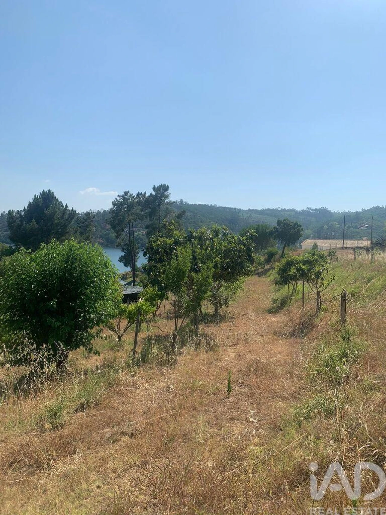Terreno para Venda em São João Baptista e Santa Maria dos Olivais Foto 28
