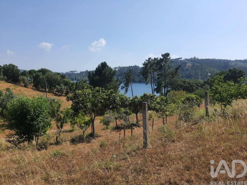 Terreno para Venda em São João Baptista e Santa Maria dos Olivais Foto 20