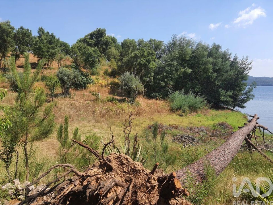 Terreno para Venda em São João Baptista e Santa Maria dos Olivais Foto 26