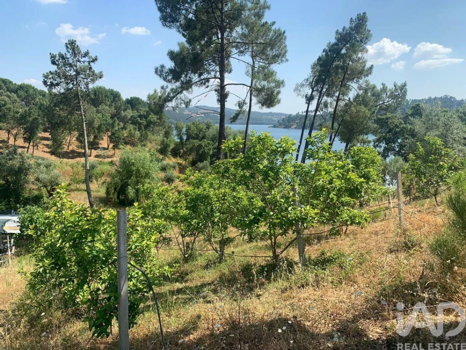Terreno para Venda em São João Baptista e Santa Maria dos Olivais Foto 29