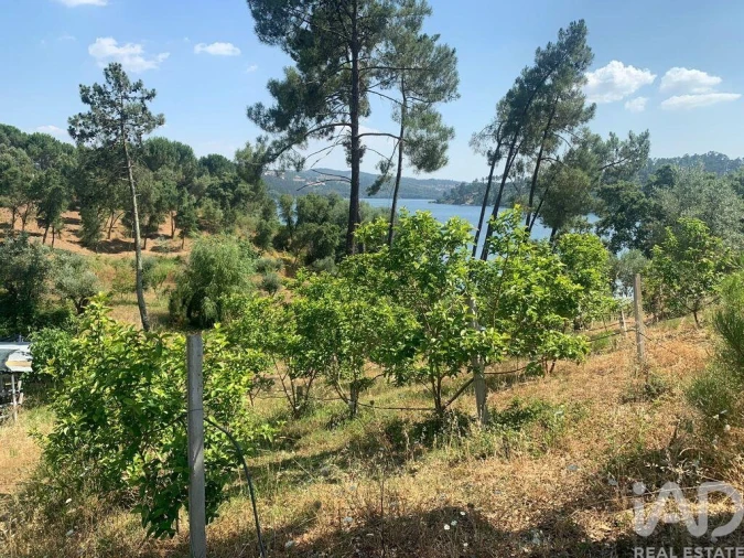Terreno para Venda em São João Baptista e Santa Maria dos Olivais Foto 29