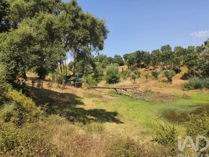 Terreno para Venda em São João Baptista e Santa Maria dos Olivais Foto 21