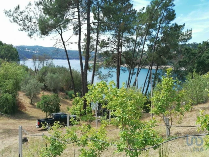 Terreno para Venda em São João Baptista e Santa Maria dos Olivais Foto 12