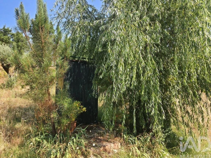 Terreno para Venda em São João Baptista e Santa Maria dos Olivais Foto 16
