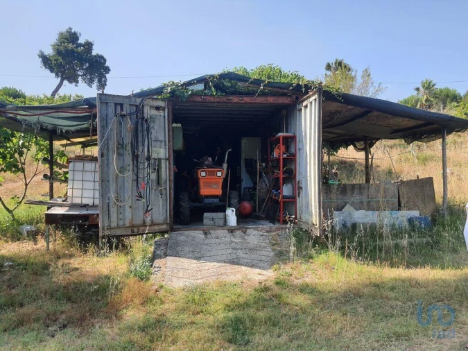 Terreno para Venda em São João Baptista e Santa Maria dos Olivais Foto 9