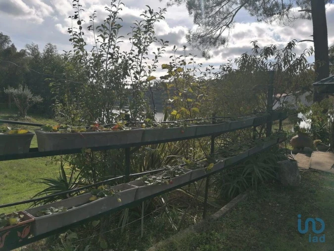 Terreno para Venda em São João Baptista e Santa Maria dos Olivais Foto 5