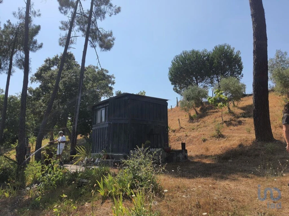 Terreno para Venda em São João Baptista e Santa Maria dos Olivais Foto 14