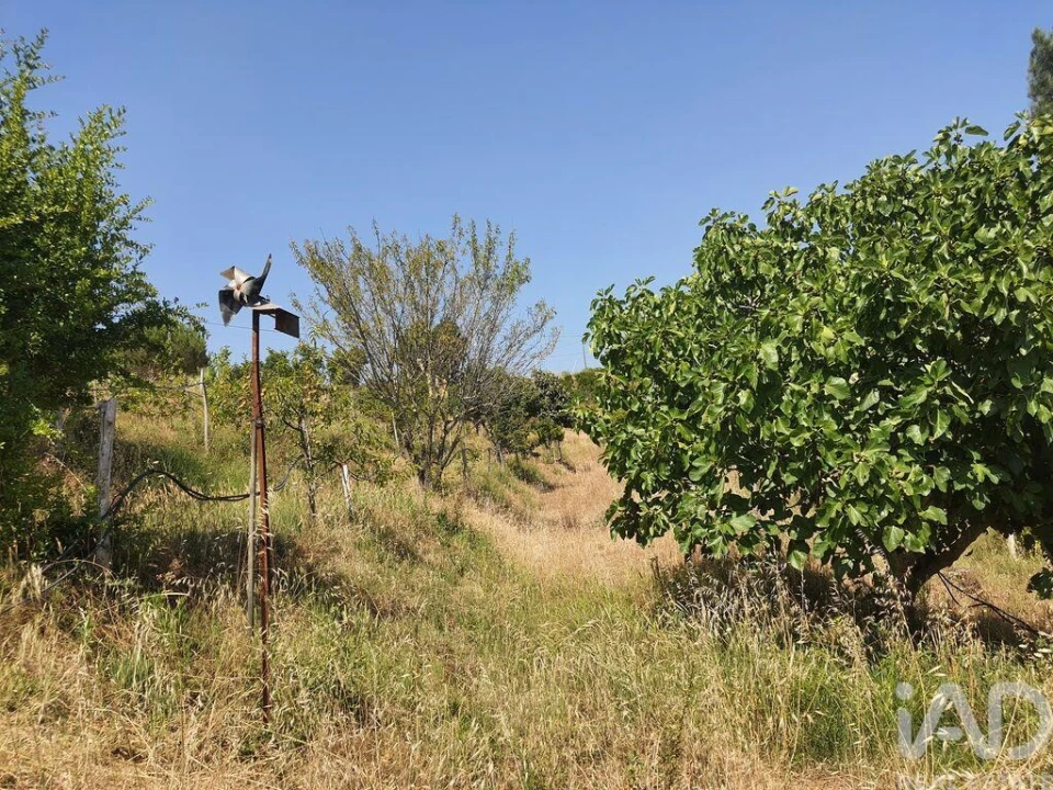 Terreno para Venda em São João Baptista e Santa Maria dos Olivais Foto 27