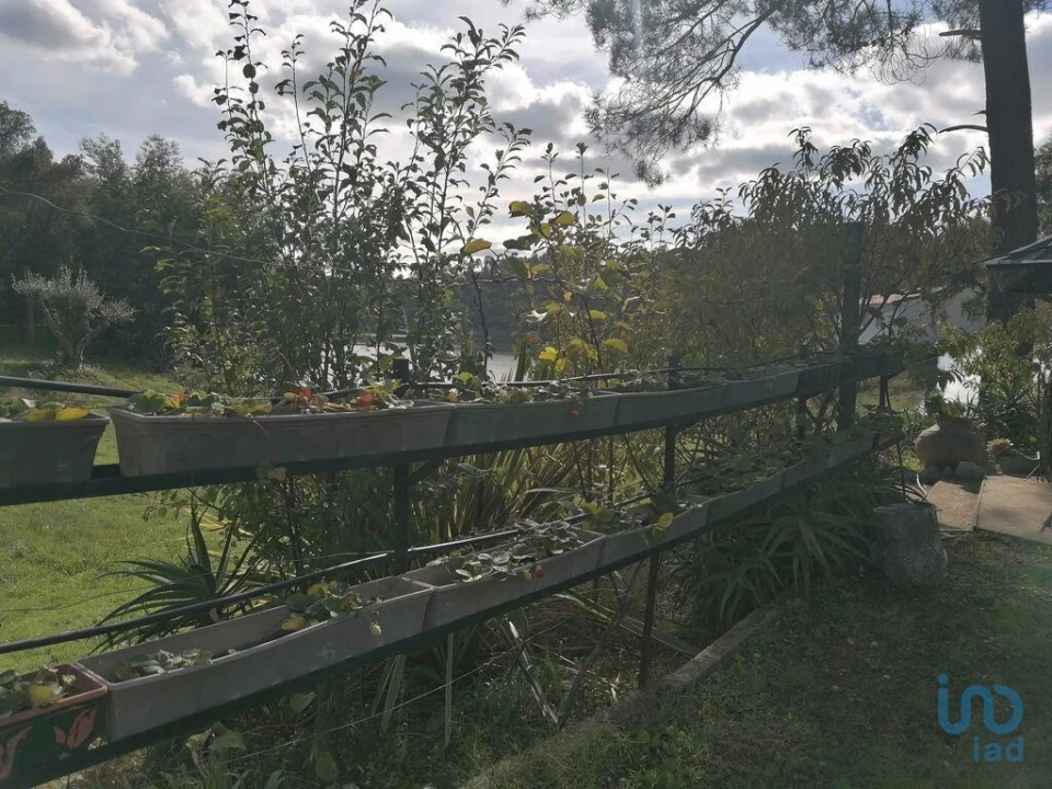 Terreno para Venda em São João Baptista e Santa Maria dos Olivais Foto 5