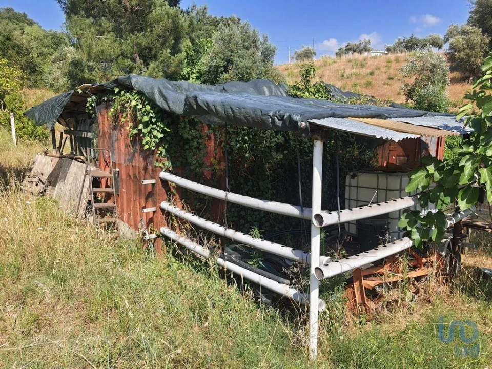 Terreno para Venda em São João Baptista e Santa Maria dos Olivais Foto 10