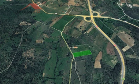 Terreno para Venda em Amendoeira