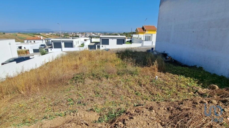 Terreno para Venda em Lourinhã e Atalaia Foto 3