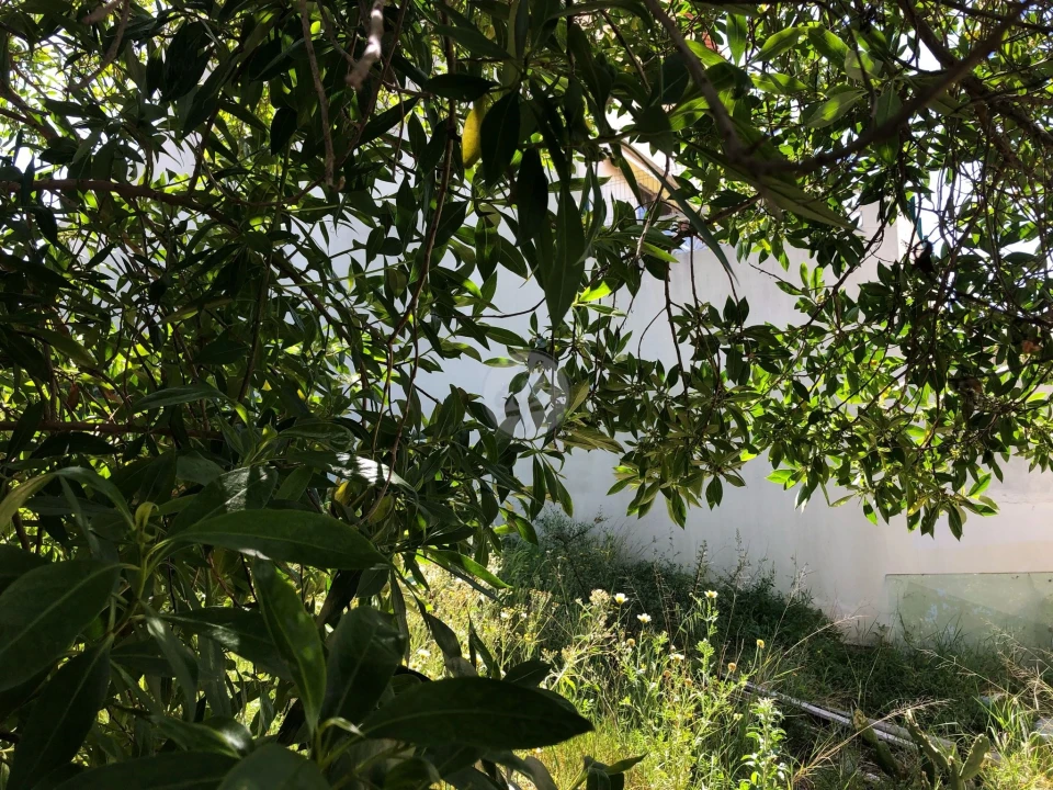 Terreno para Venda em Estômbar e Parchal Foto 7