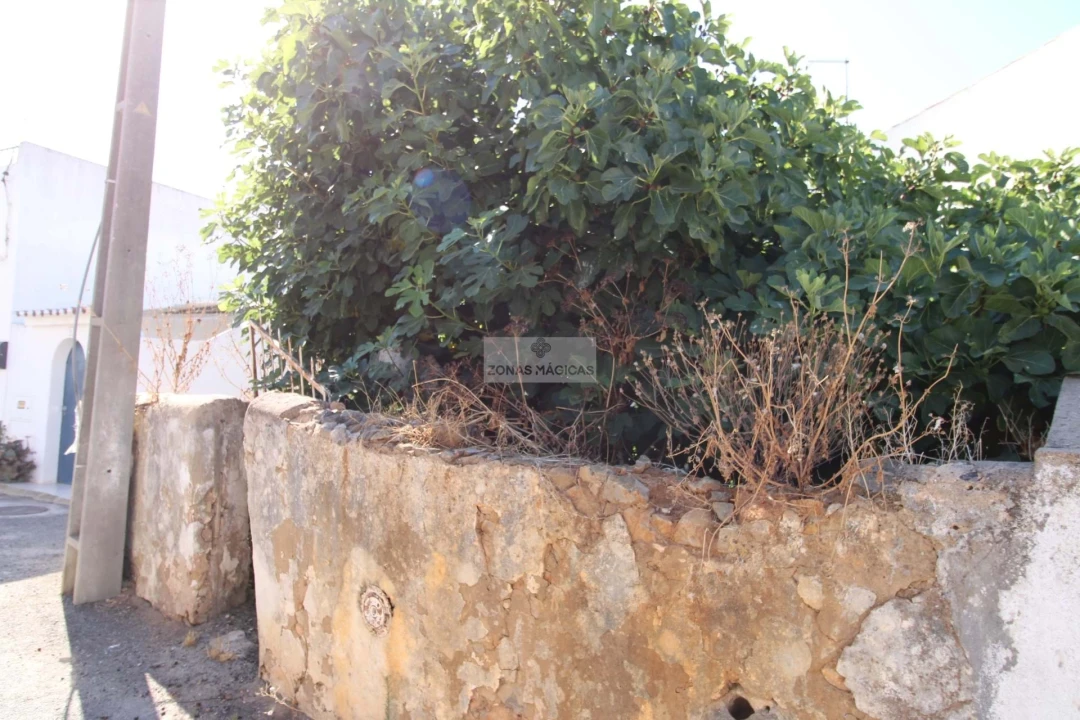 Terreno para Venda em Luz Foto 5