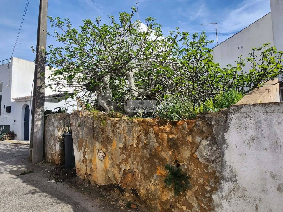 Terreno para Venda em Luz Foto 1