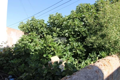 Terreno para Venda em Luz