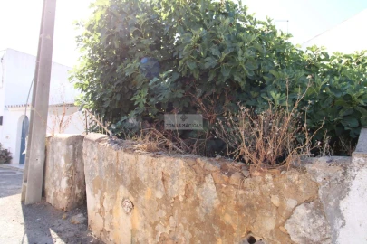 Terreno para Venda em Luz