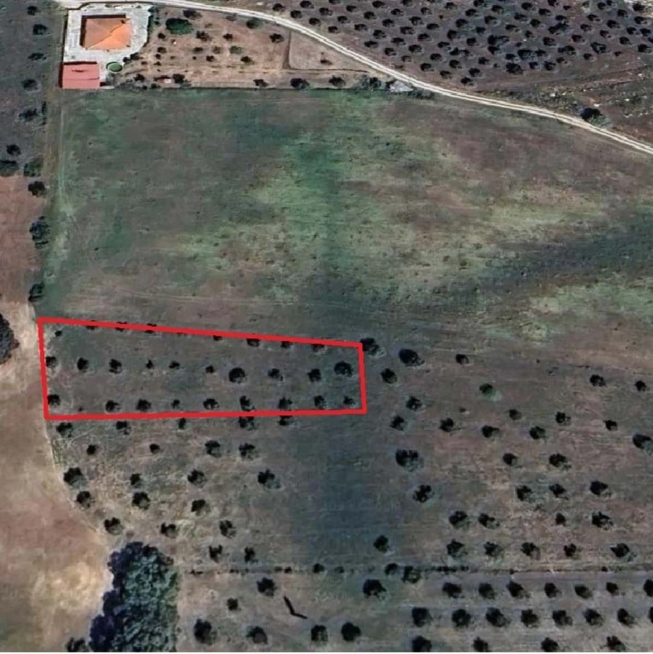 Terreno Agricola ou Rústico para Venda em Azoia de Cima e Tremês Foto 1