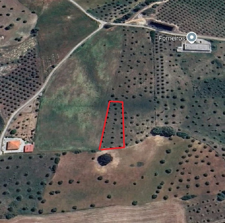 Terreno Agricola ou Rústico para Venda em Azoia de Cima e Tremês Foto 3