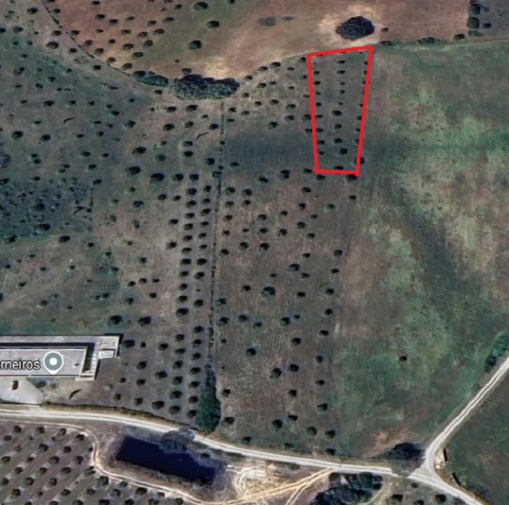 Terreno Agricola ou Rústico para Venda em Azoia de Cima e Tremês Foto 2