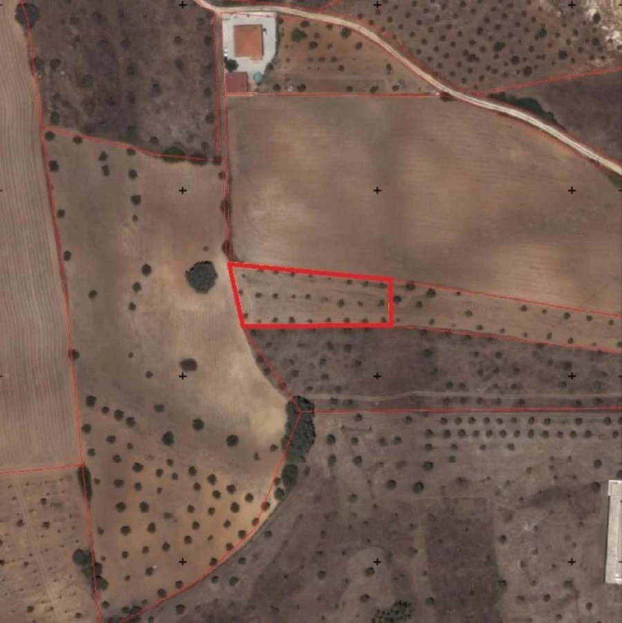 Terreno Agricola ou Rústico para Venda em Azoia de Cima e Tremês Foto 4