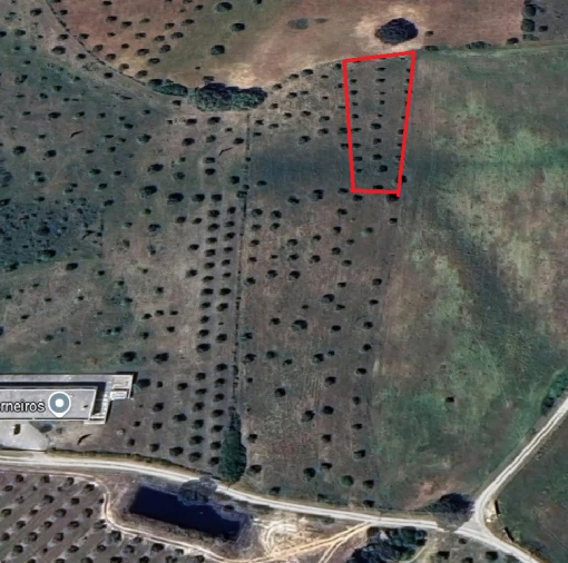 Terreno Agricola ou Rústico para Venda em Azoia de Cima e Tremês Foto 2