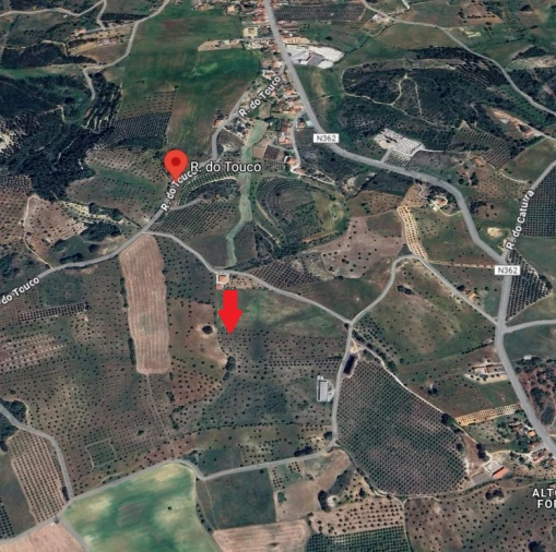 Terreno Agricola ou Rústico para Venda em Azoia de Cima e Tremês Foto 5