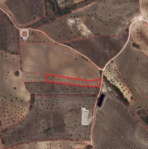 Terreno para Venda em Azoia de Cima e Tremês