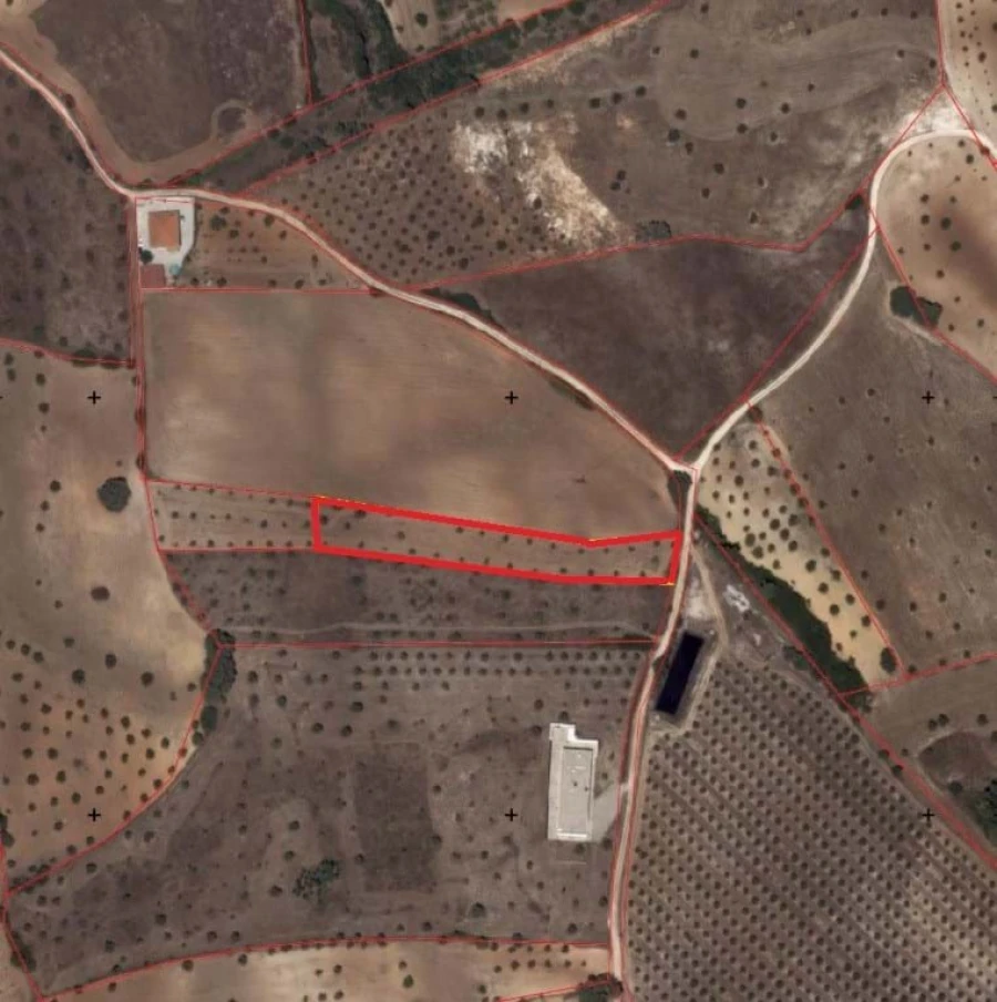Terreno para Venda em Azoia de Cima e Tremês Foto 3