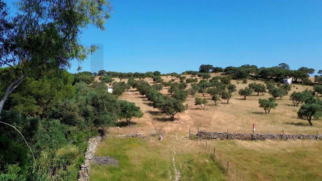 Terreno para Venda em Rosario Foto 7