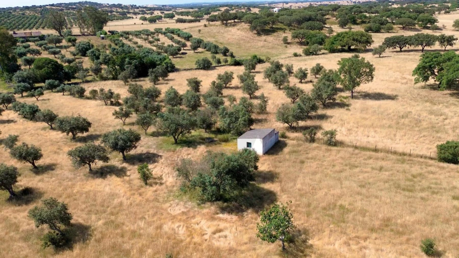 Terreno para Venda em Rosario Foto 19
