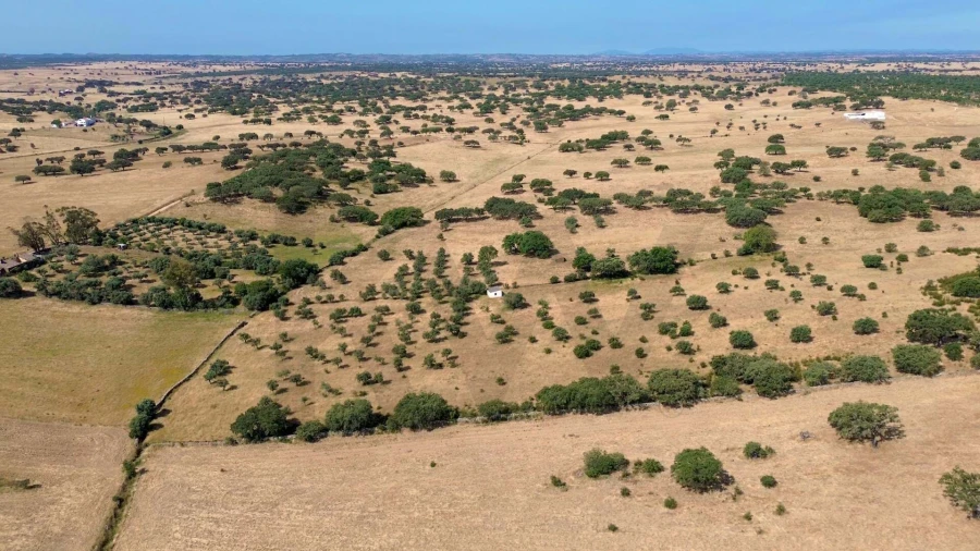 Terreno para Venda em Rosario Foto 10