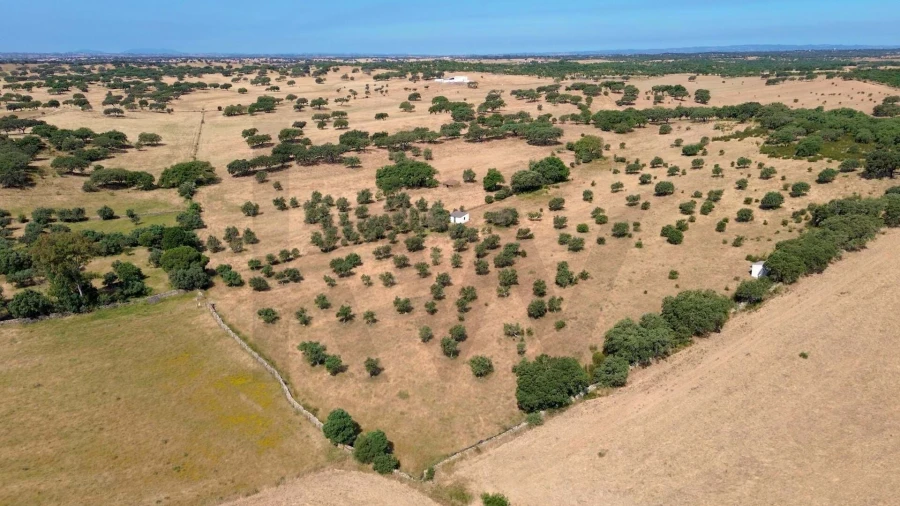 Terreno para Venda em Rosario Foto 9