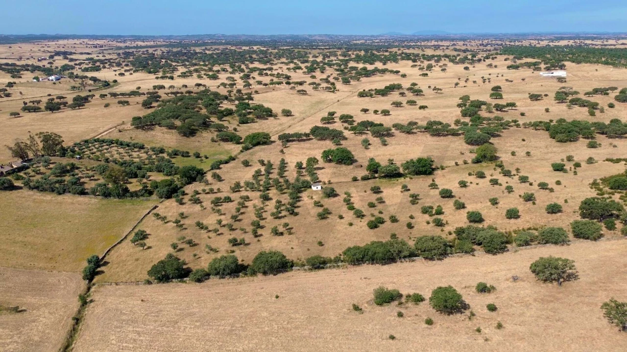 Terreno para Venda em Rosario Foto 10