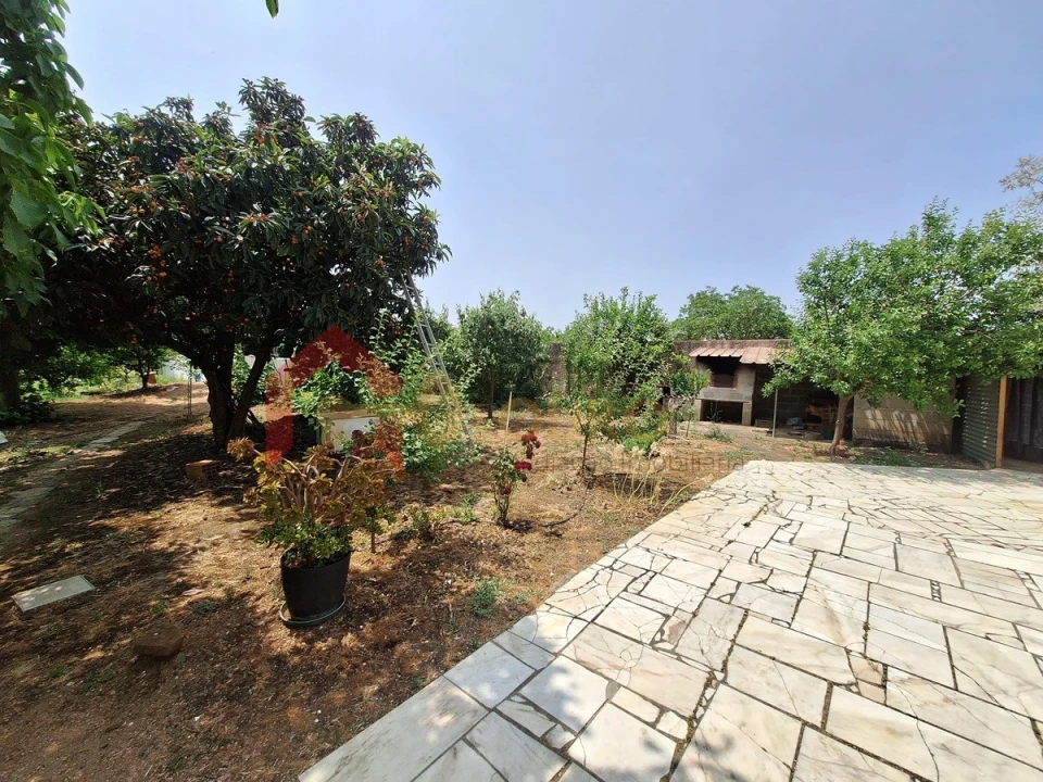 Quinta T4 para Venda em São Bras e São Lourenço Foto 34