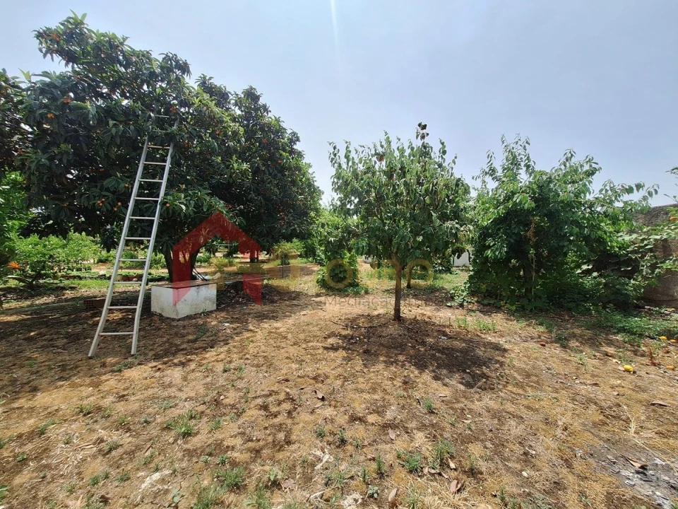 Quinta T4 para Venda em São Bras e São Lourenço Foto 40