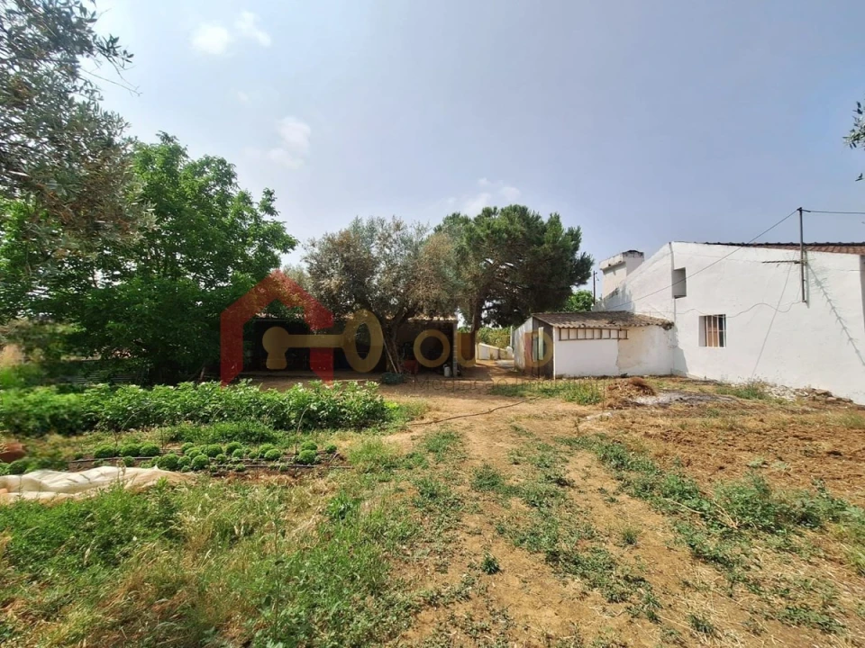 Quinta T4 para Venda em São Bras e São Lourenço Foto 41