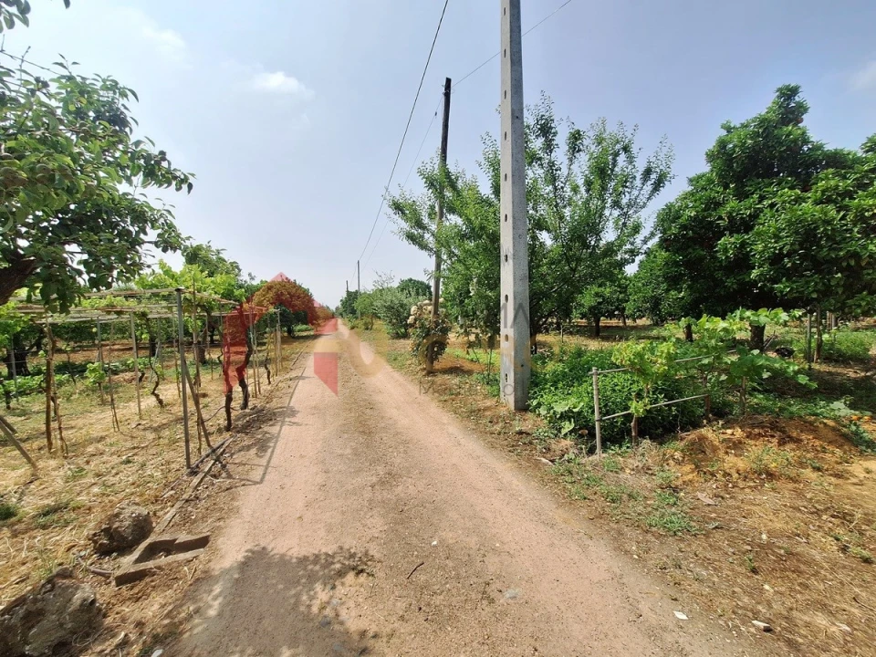 Quinta T4 para Venda em São Bras e São Lourenço Foto 44