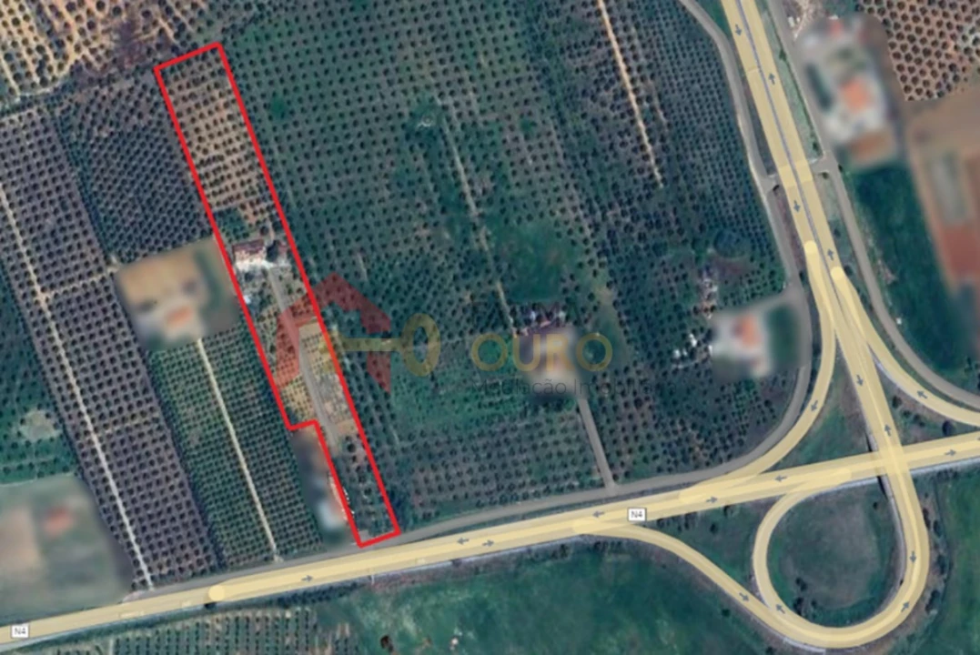 Quinta T4 para Venda em São Bras e São Lourenço Foto 48